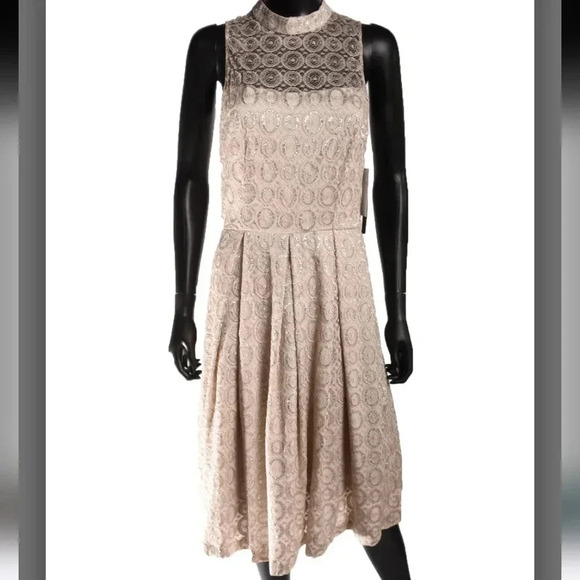 Cynthia Steffe Lace Fit & Flare Dress - Picture 6 of 8